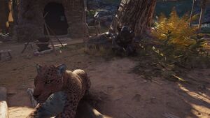 ACOd-AstartetheSwamp-leopard.jpg