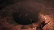 The pool