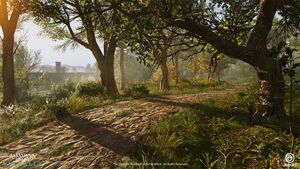 ACV Epinga Forest 5.jpg