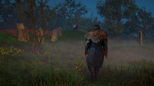 ACV Skal 12.png