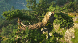 ACSH Ominesanji Overlook 1.png