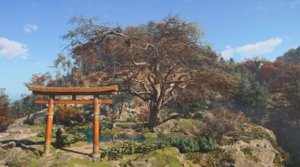 ACSH Three Trunked Tree 1.png