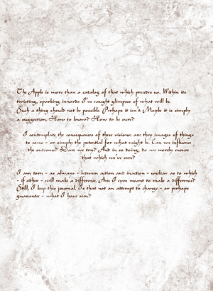 Codex P16 v.png