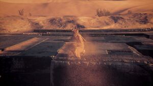 LightsAmongTheDunes30-UndeadSandF.jpg
