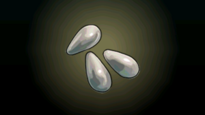 ACP Treasure Teardrop Pearl.png