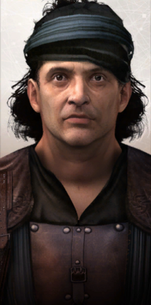 Mercenaries(ACIIDB).png