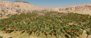 ACMir AlUla Oasis.jpg