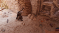 Thumbnail for version as of 00:12, 23 January 2026