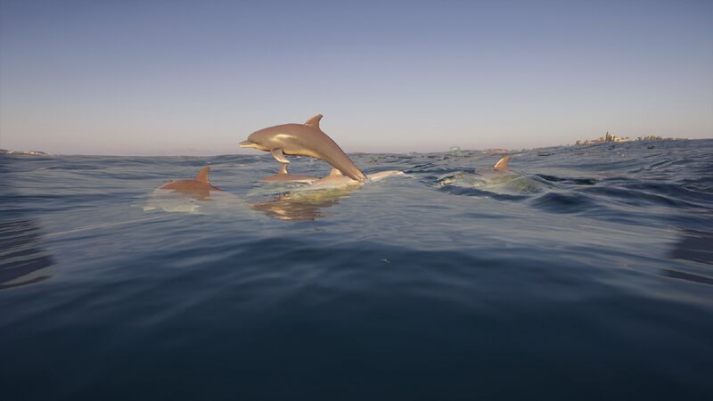 File:ACOd-dolphinpod.jpg