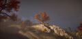 Thumbnail for version as of 00:24, 23 January 2026