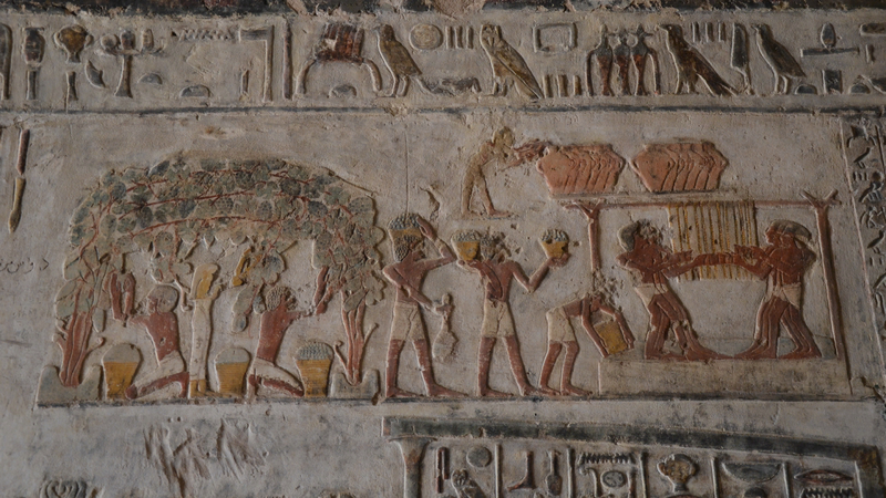 File:DTAE - Wine Harvest Scene.png