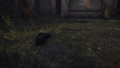 Thumbnail for version as of 00:10, 23 January 2026