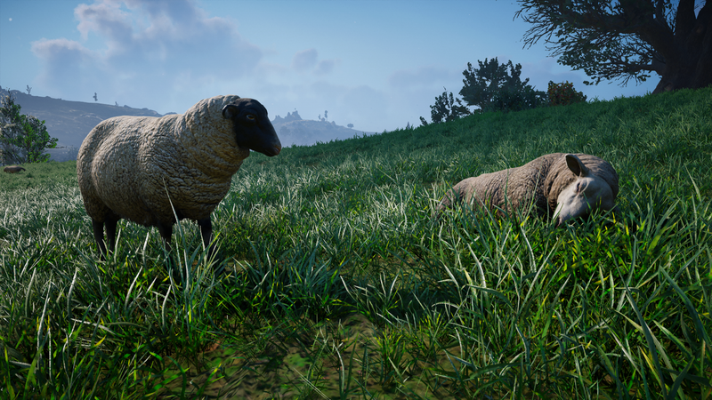 File:ACV Sheep.png