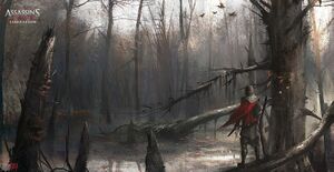 AC3L Bayou.jpg