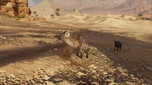Hyena-origins.jpg