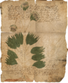 Thumbnail for version as of 16:14, 1 October 2026