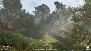 ACV Epinga Forest 2.jpg