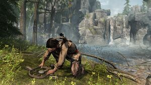 AC III Connor Traps.jpg
