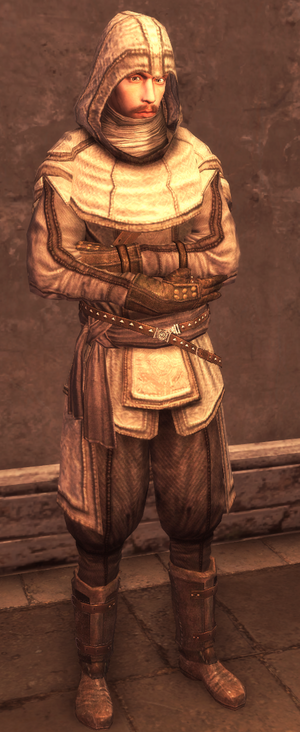 Male Assassin Armor Level 1.png