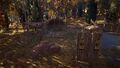 Thumbnail for version as of 00:25, 23 January 2026