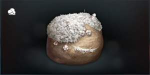 AC3L Cotton.png