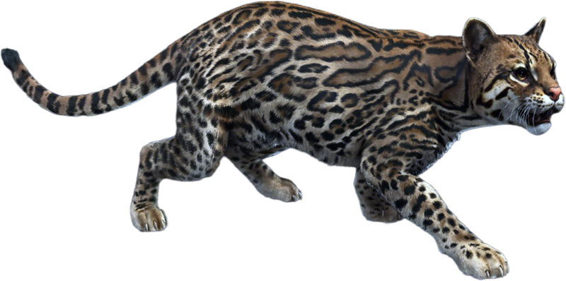 File:ACBFR DB Ocelot.png