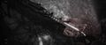 Thumbnail for version as of 04:26, 24 May 2026