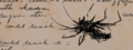 Thumbnail for version as of 00:06, 23 January 2026