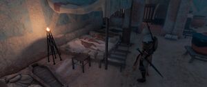 ACO Birthright - Iras' Family Bodies.jpg