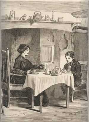 ACS DB Illustrations 39.jpg