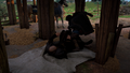 Thumbnail for version as of 00:30, 23 January 2026