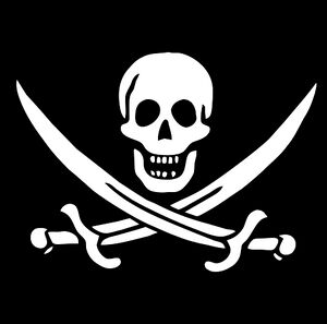 Joykiller pirate.jpg