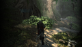 Edward navigating the jungles near Tulum