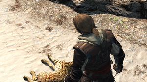 This Tyro Captain 4.png