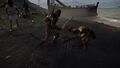 Kassandra helping with the pirates