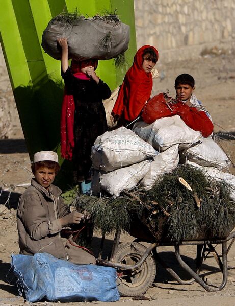 File:ACB - Afghan children carting firewood.jpg