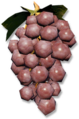 Thumbnail for version as of 00:17, 23 January 2026