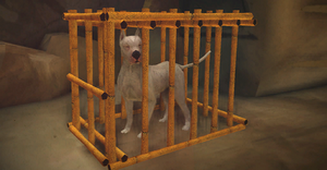 ACC China DB Dogs.png