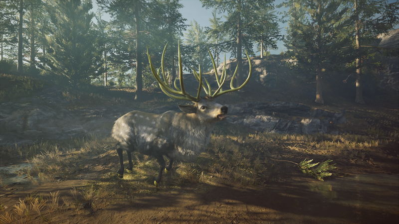 File:ACOD The Hind of Keryneia.png