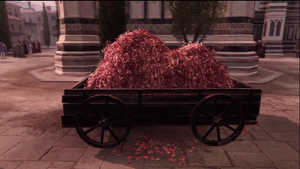 Zw-lof-petals.png
