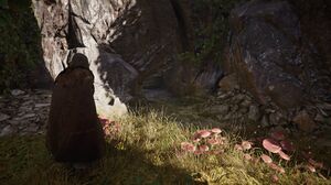 ACV Eivor, Brother Cave.jpg