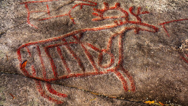 File:DTVA - Stone carving of an elk.jpg