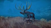 The Hind of Keryneia faced by Kassandra