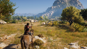 Kassandra chasing after wild boars