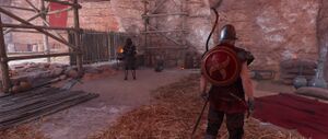ACO Rise of Shaqilat 5.jpg