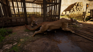 ACV Cougar.png