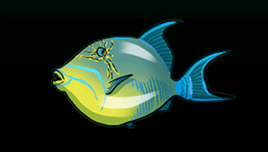 QueenTriggerfishACP.png