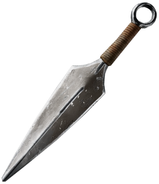 File:ACSH DB Kunai.png