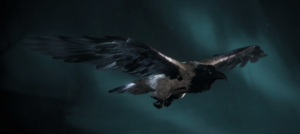 ACV Sýnin Celtic Raven.png