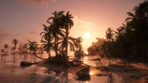 ACBFR DB Coconut Beach.webp
